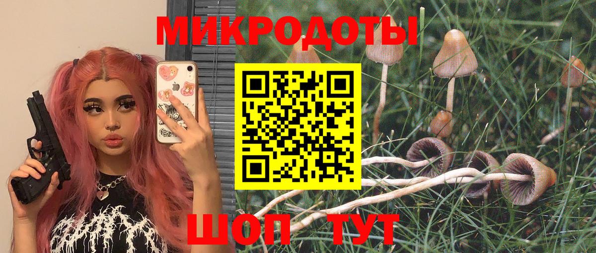 Галлюциногенные грибы Psilocybe  Галлюциногенные грибы Magic Shrooms  Саянск  Вход с VPN 